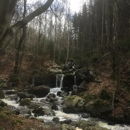 Cap Esperance Semesterbostad Waimes