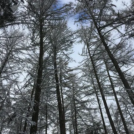 Cap Espérance Сasa de vacaciones